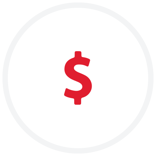 dollar icon